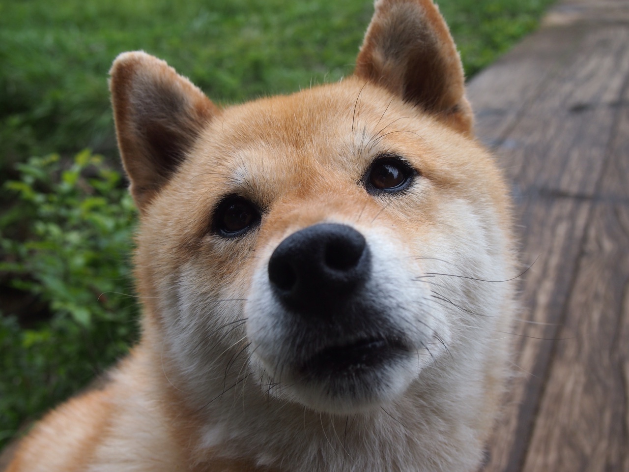 中国三人篮球男队苦战惜败 暴露经验不足，中国三人篮球男队员