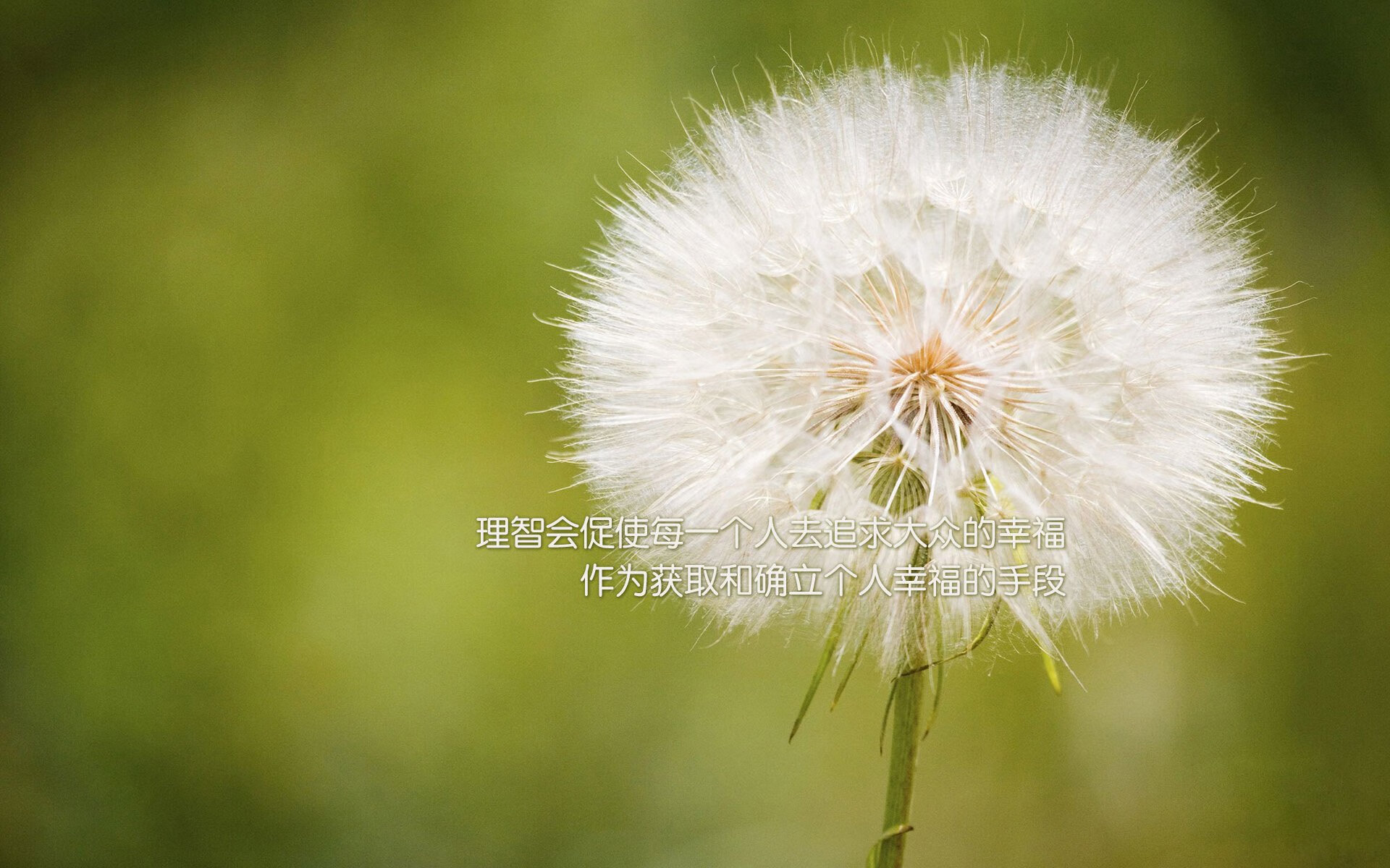 反腐先锋：足球行业严打比赛操控的最新动态，中国足球打假扫黑除恶