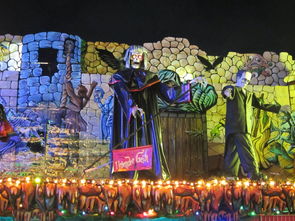 开云kaiyun-球迷狂欢夜：欧洲联赛粉丝的激情盛宴，欧洲球迷文化