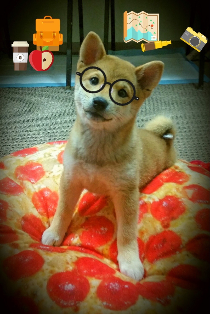 “武汉马拉松：飞奔的脚步，奏响速度与力量的交响乐”